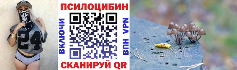 Псилоцибиновые грибы мухоморы  купить наркотик  Менделеевск 